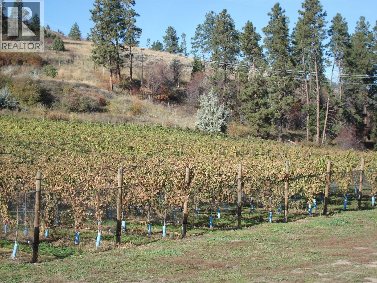 5214 Monro Avenue. Summerland, British Columbia