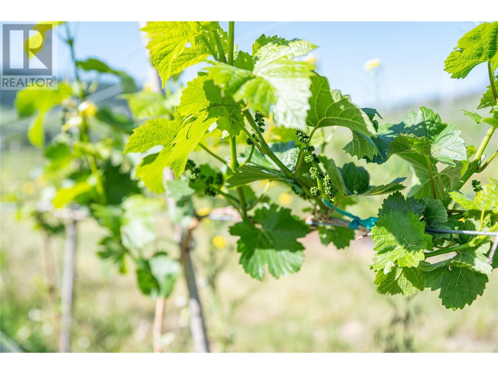 10450 Matner Lane. Coldstream, British Columbia