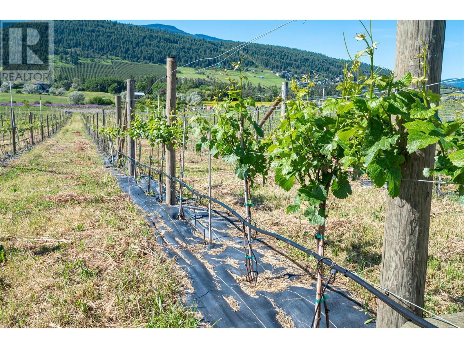 10450 Matner Lane. Coldstream, British Columbia