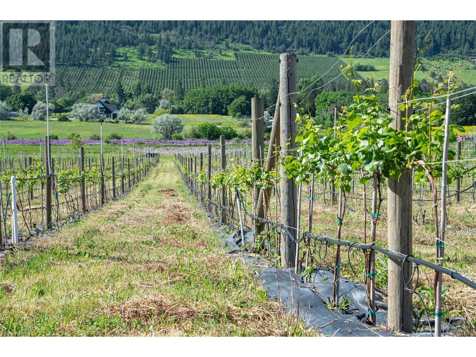 10450 Matner Lane. Coldstream, British Columbia