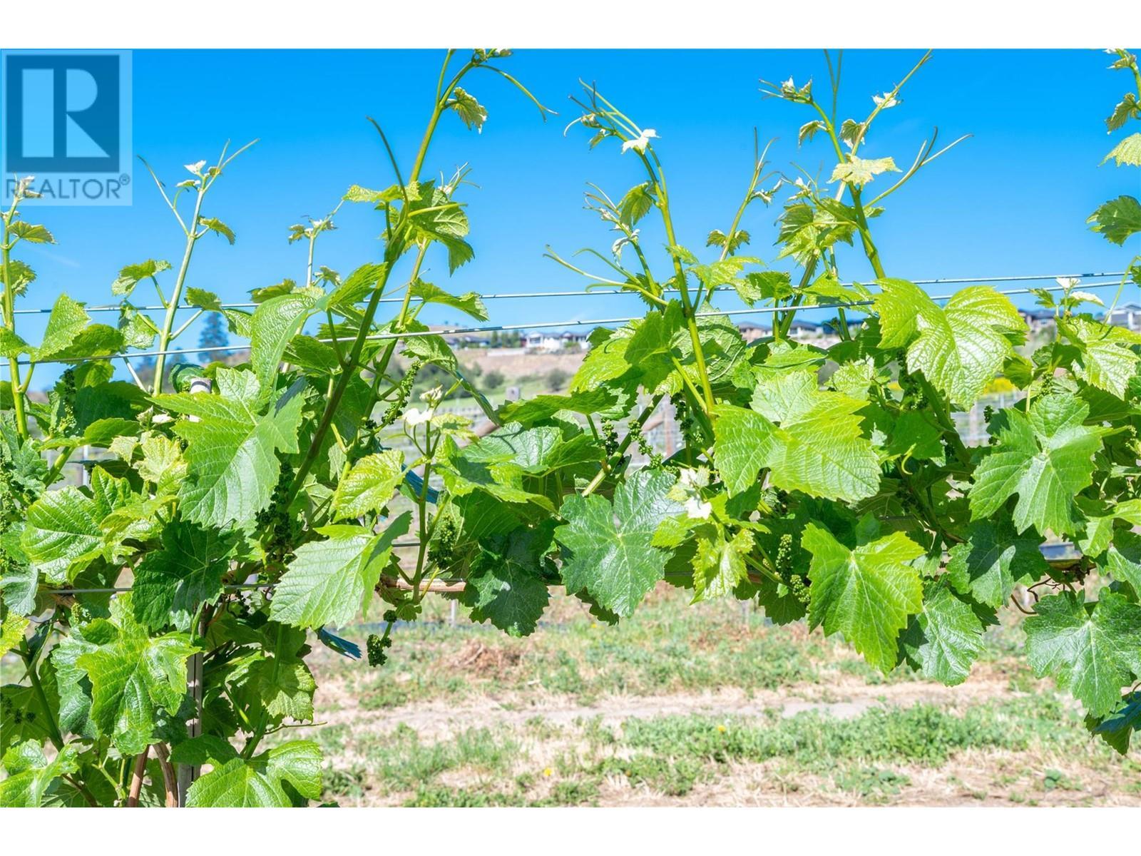 10450 Matner Lane. Coldstream, British Columbia