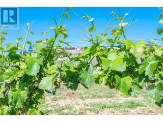 10450 Matner Lane. Coldstream, British Columbia