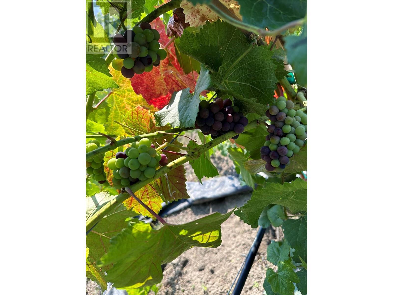 10450 Matner Lane. Coldstream, British Columbia