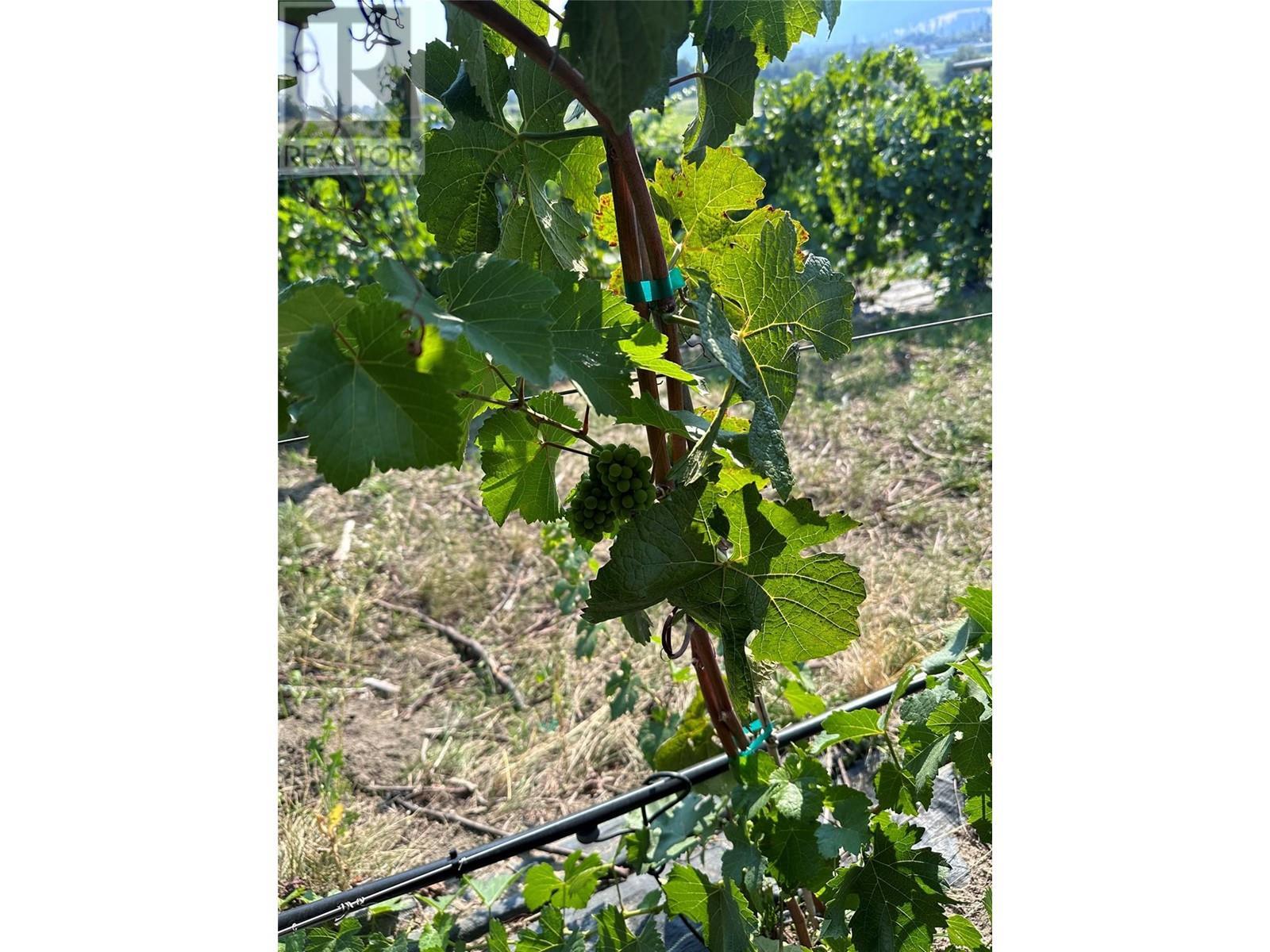 10450 Matner Lane. Coldstream, British Columbia