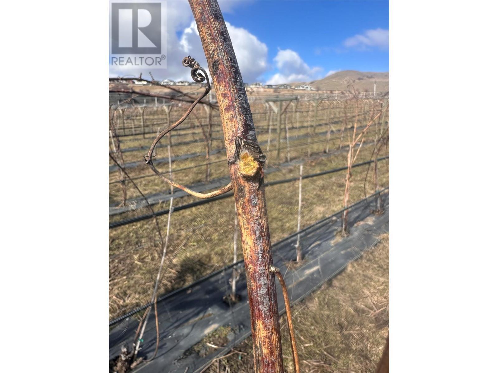 10450 Matner Lane. Coldstream, British Columbia