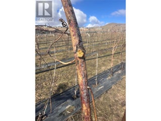 10450 Matner Lane. Coldstream, British Columbia