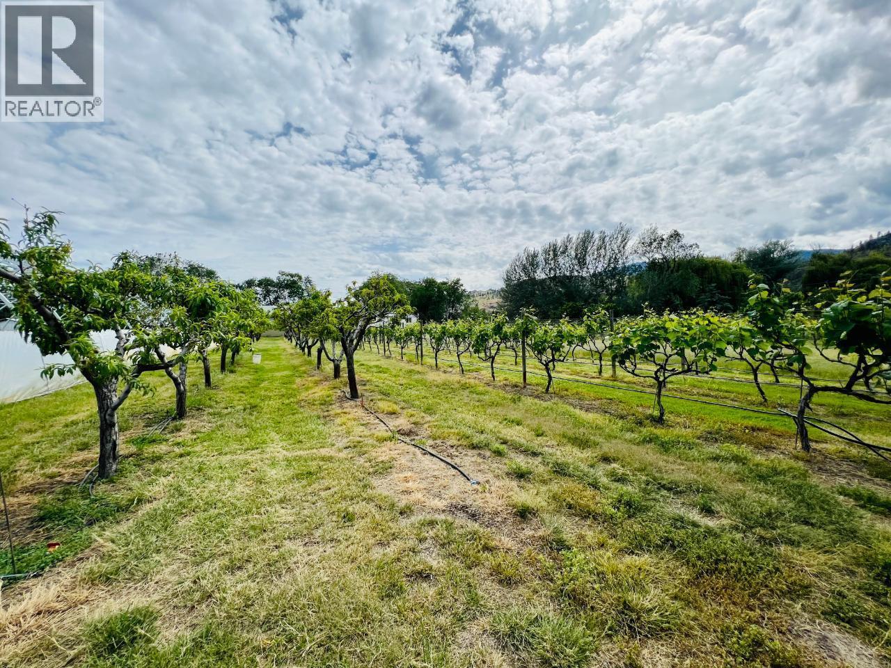 7231 Island Road. Oliver, British Columbia