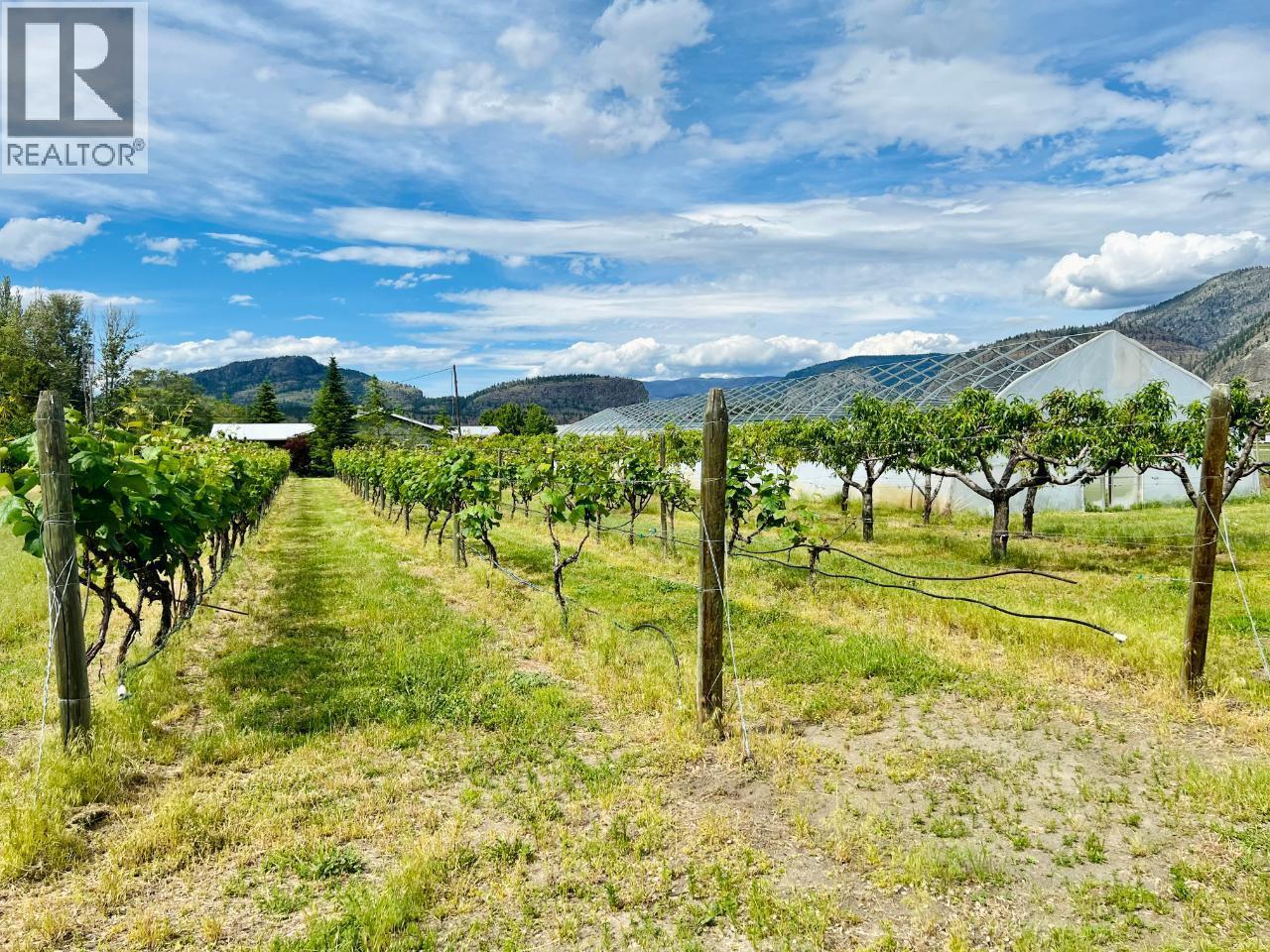 7231 Island Road. Oliver, British Columbia