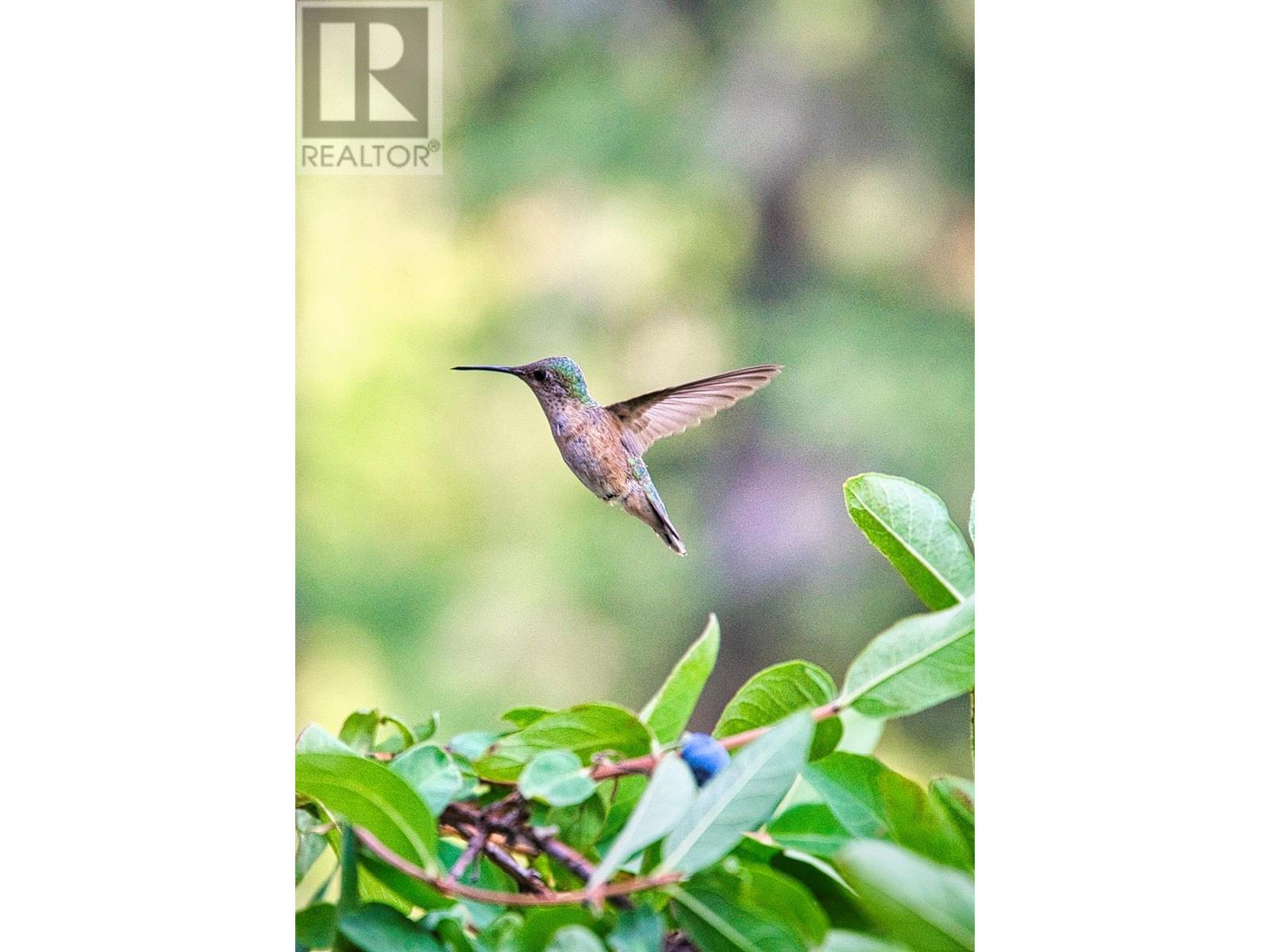 1238 Creighton Valley Road. Lumby, British Columbia