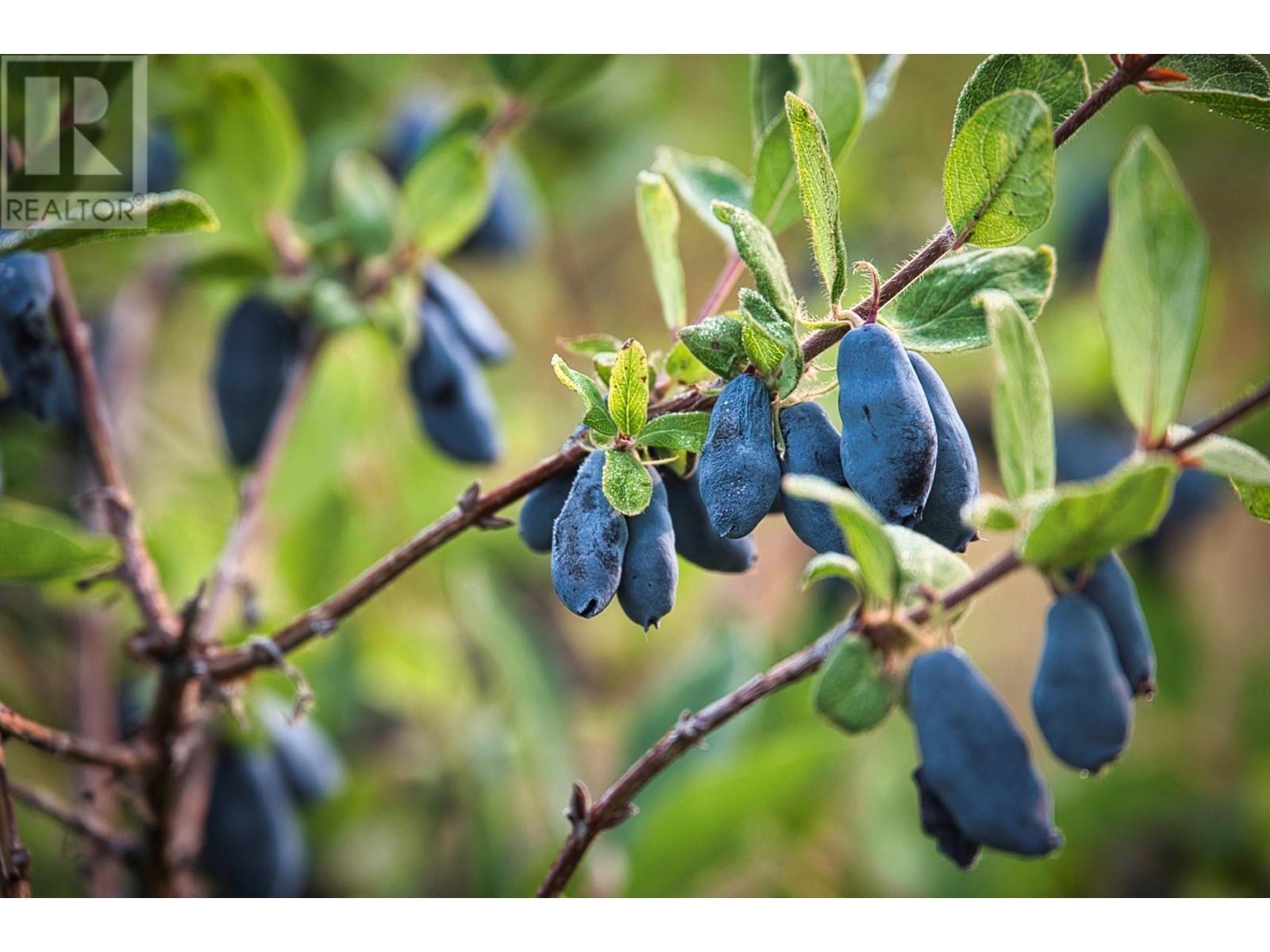 1238 Creighton Valley Road. Lumby, British Columbia