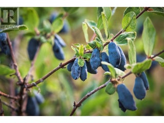 1238 Creighton Valley Road. Lumby, British Columbia