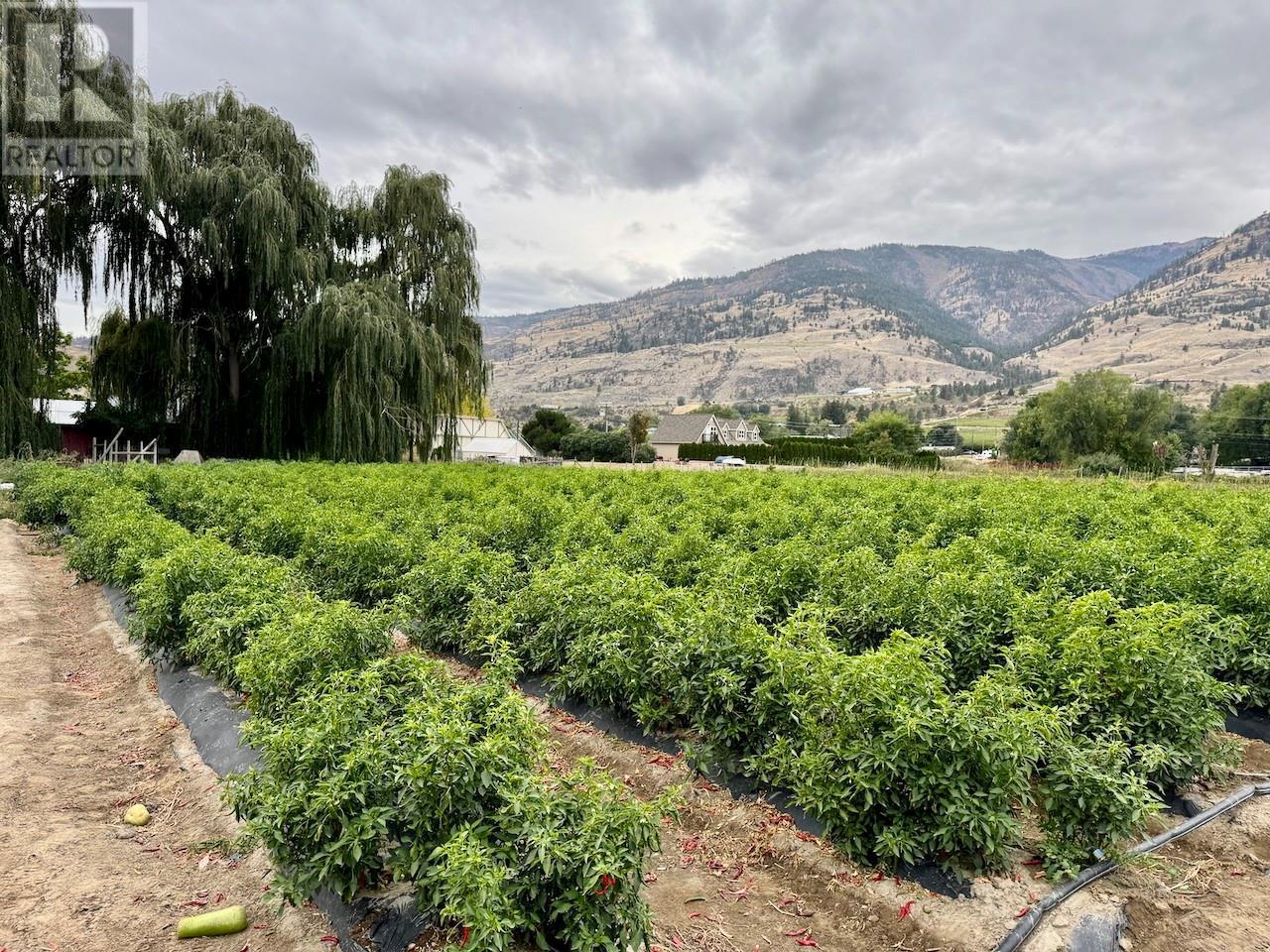 124 Road 10. Oliver, British Columbia