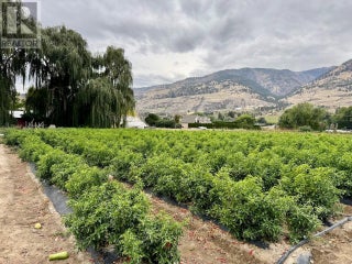 124 Road 10. Oliver, British Columbia