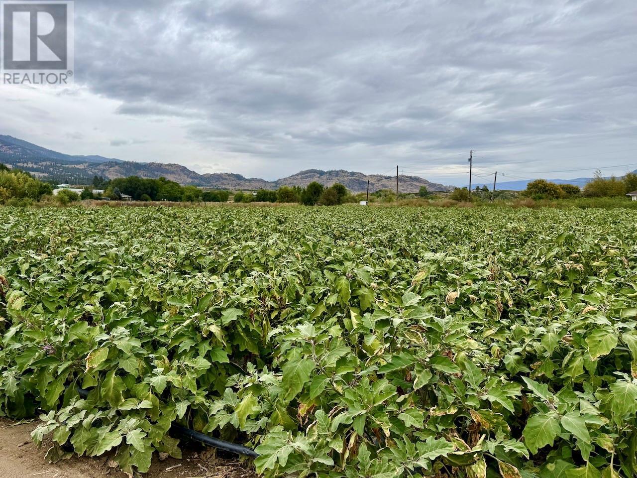 124 Road 10. Oliver, British Columbia