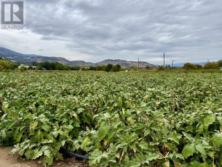 124 Road 10. Oliver, British Columbia