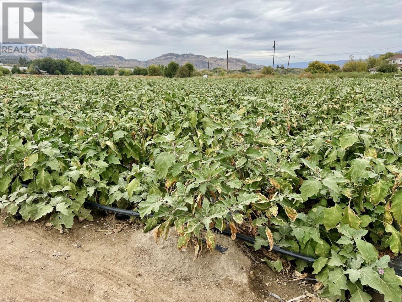 124 Road 10. Oliver, British Columbia