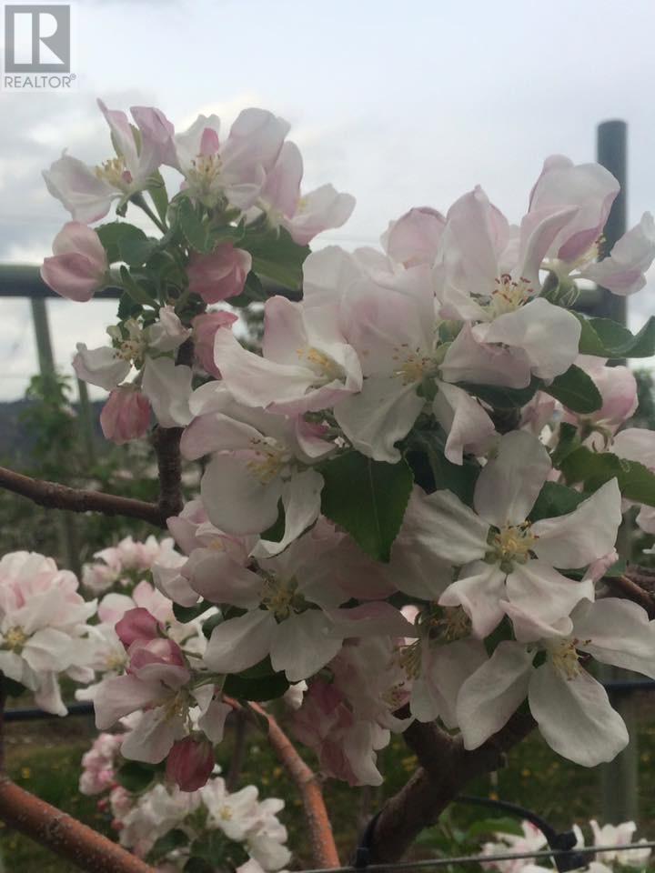 459 18 Road. Oliver, British Columbia