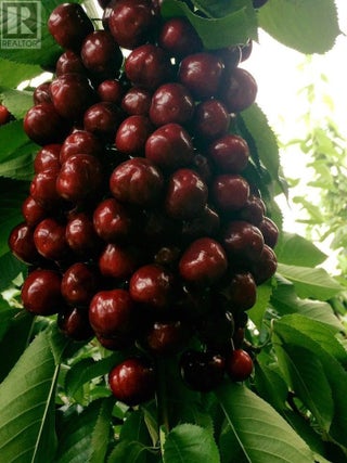 459 18 Road. Oliver, British Columbia