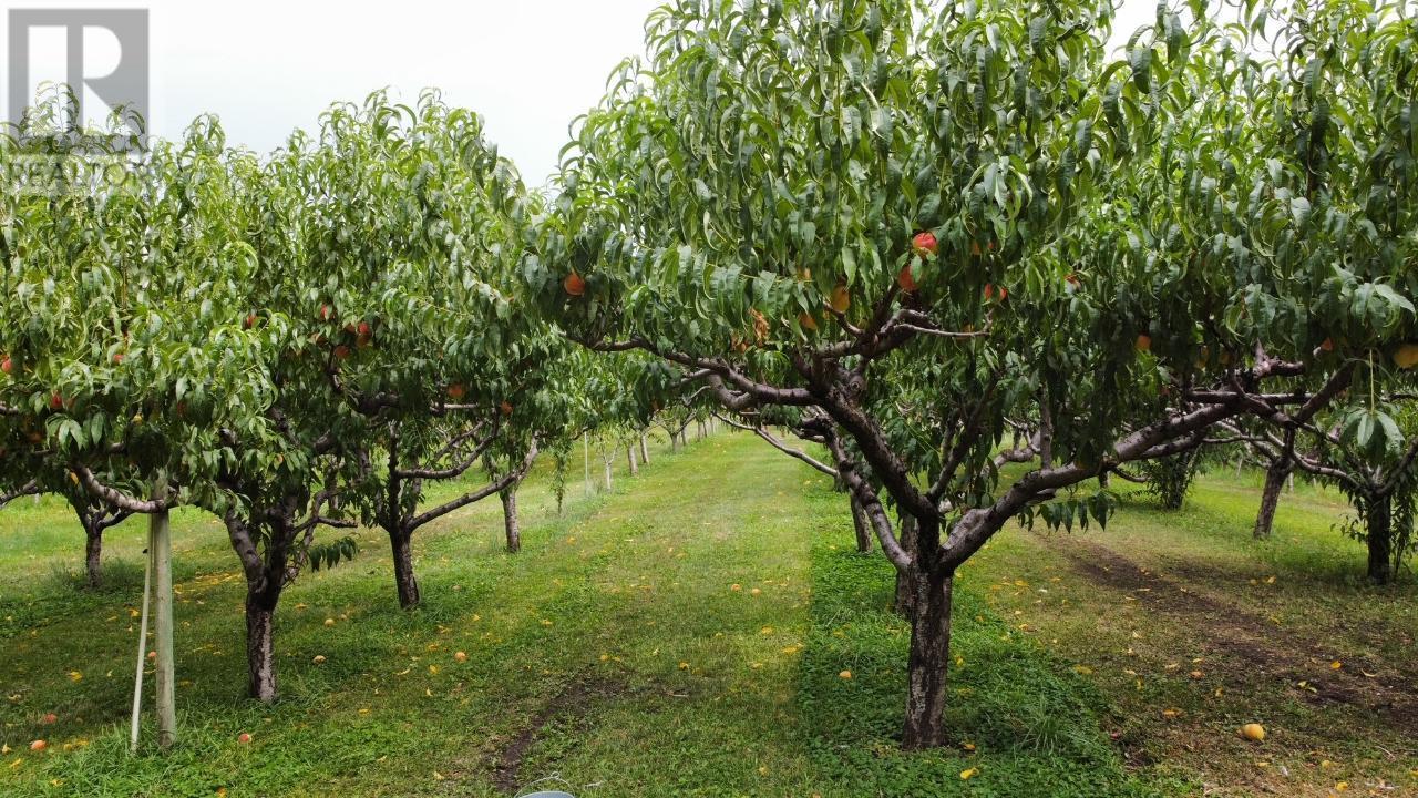 459 18 Road. Oliver, British Columbia