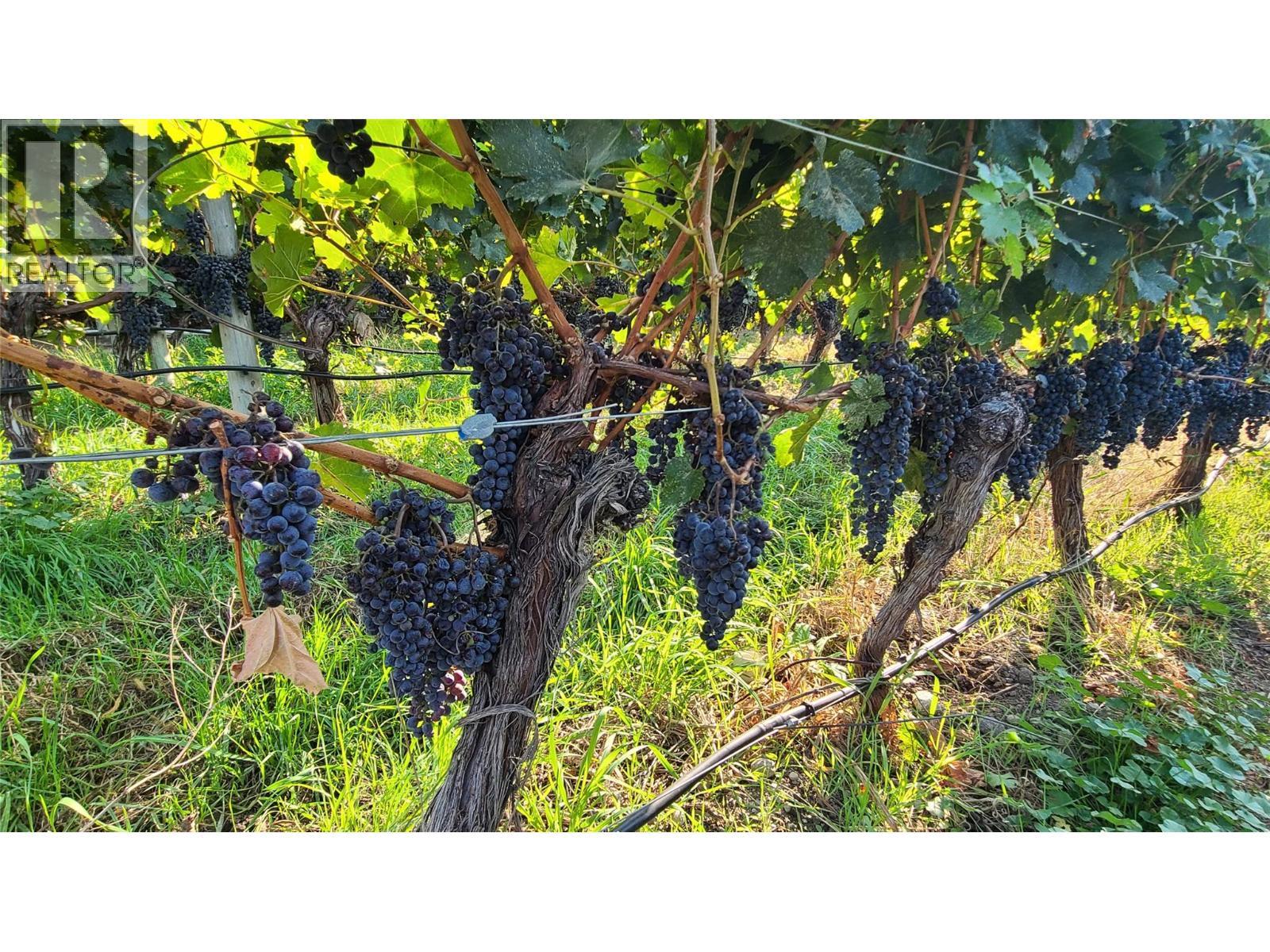 4028 107th Street. Osoyoos, British Columbia