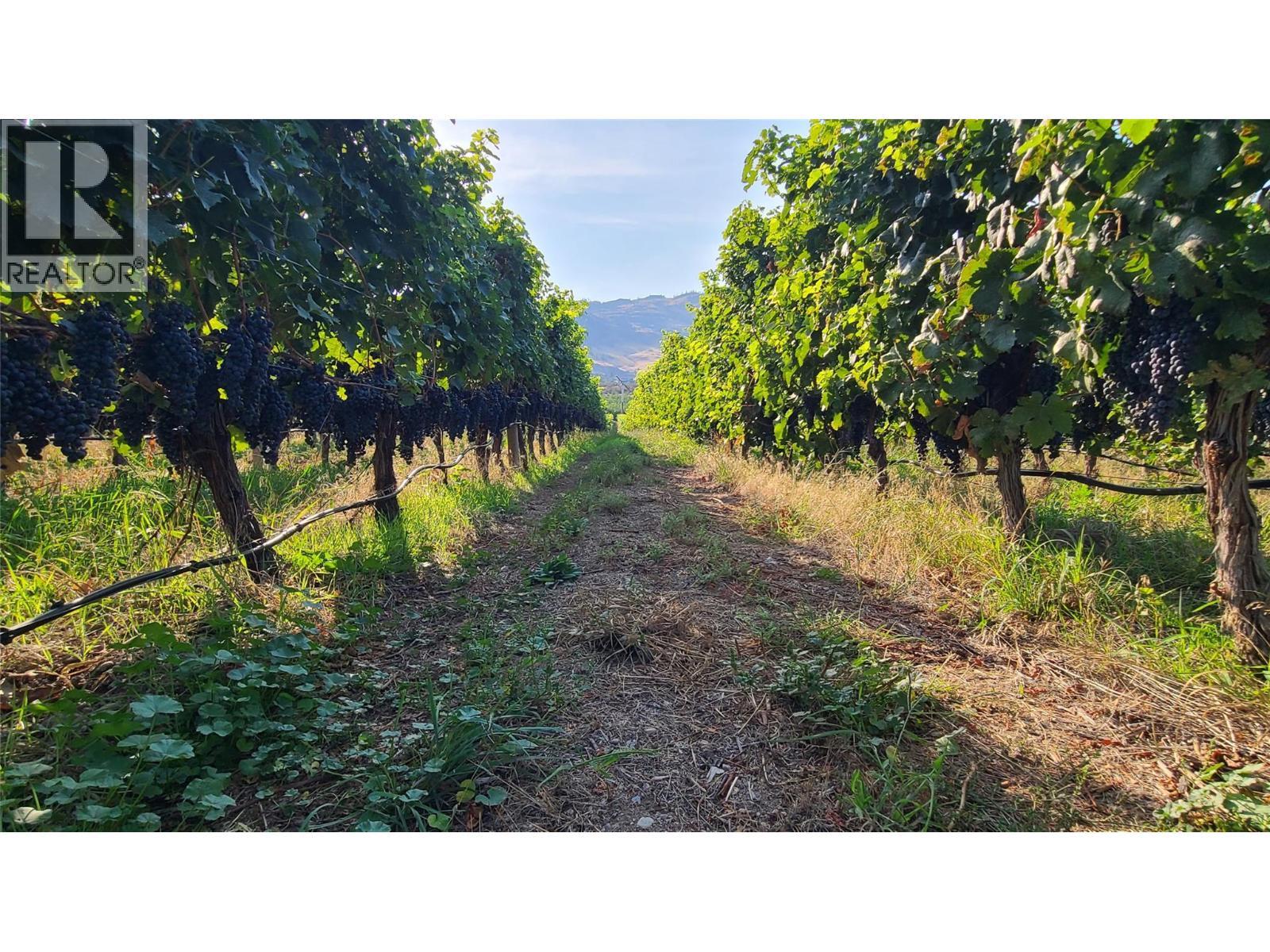 4028 107th Street. Osoyoos, British Columbia