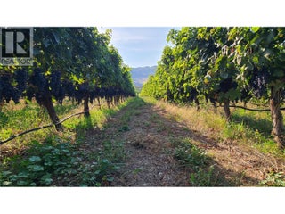 4028 107th Street. Osoyoos, British Columbia