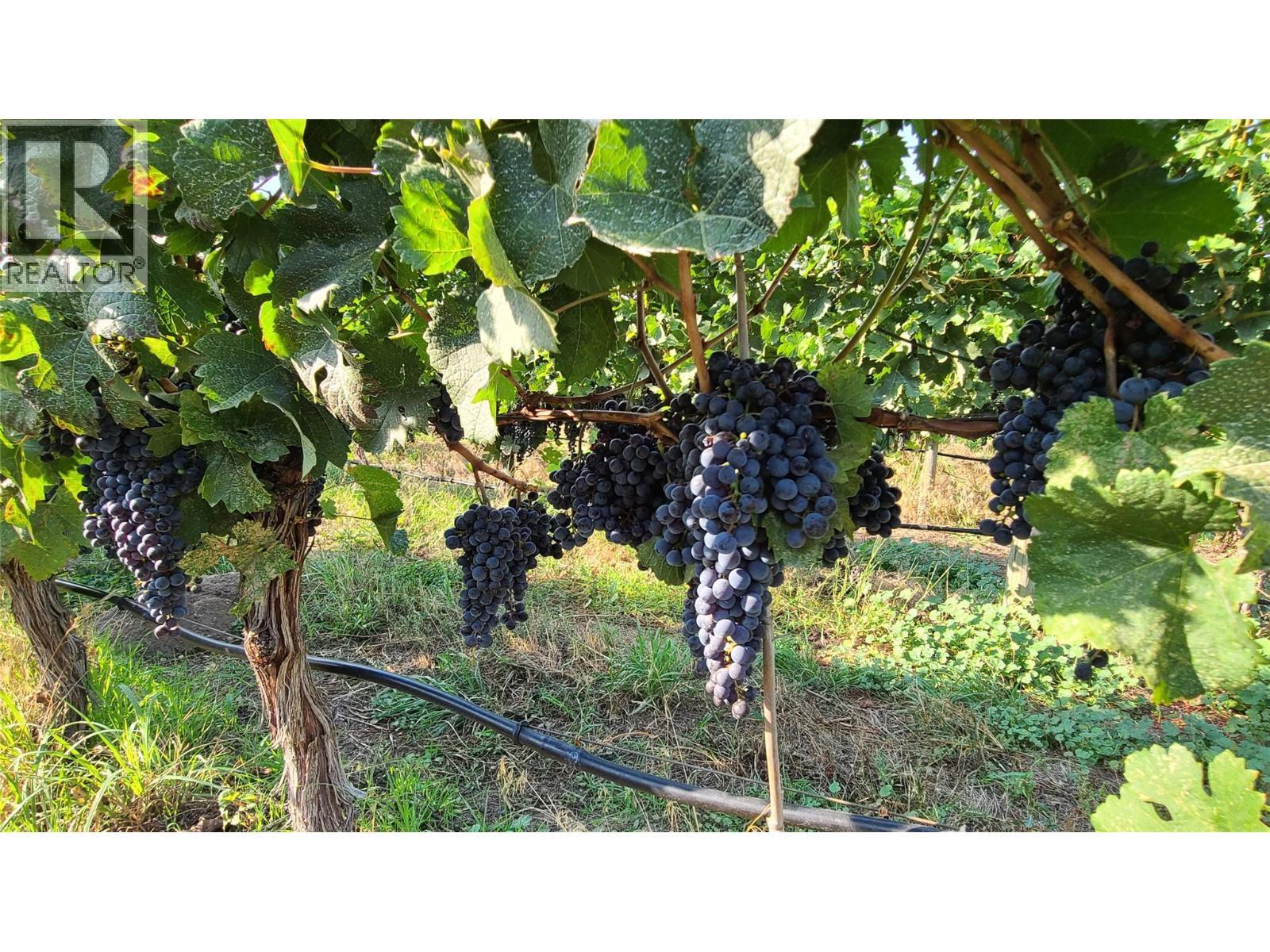 4028 107th Street. Osoyoos, British Columbia