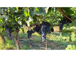 4028 107th Street. Osoyoos, British Columbia