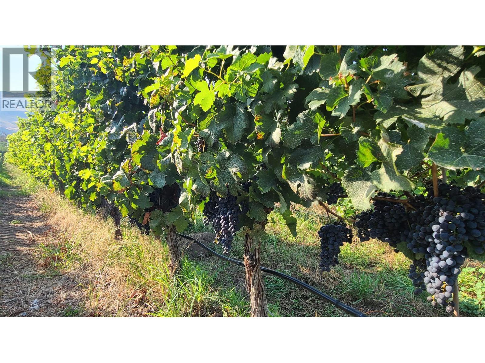 4028 107th Street. Osoyoos, British Columbia