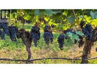 4028 107th Street. Osoyoos, British Columbia