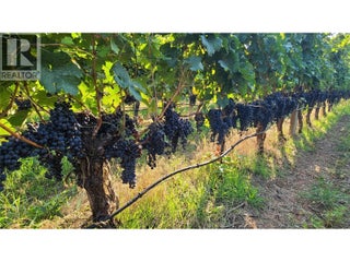 4028 107th Street. Osoyoos, British Columbia