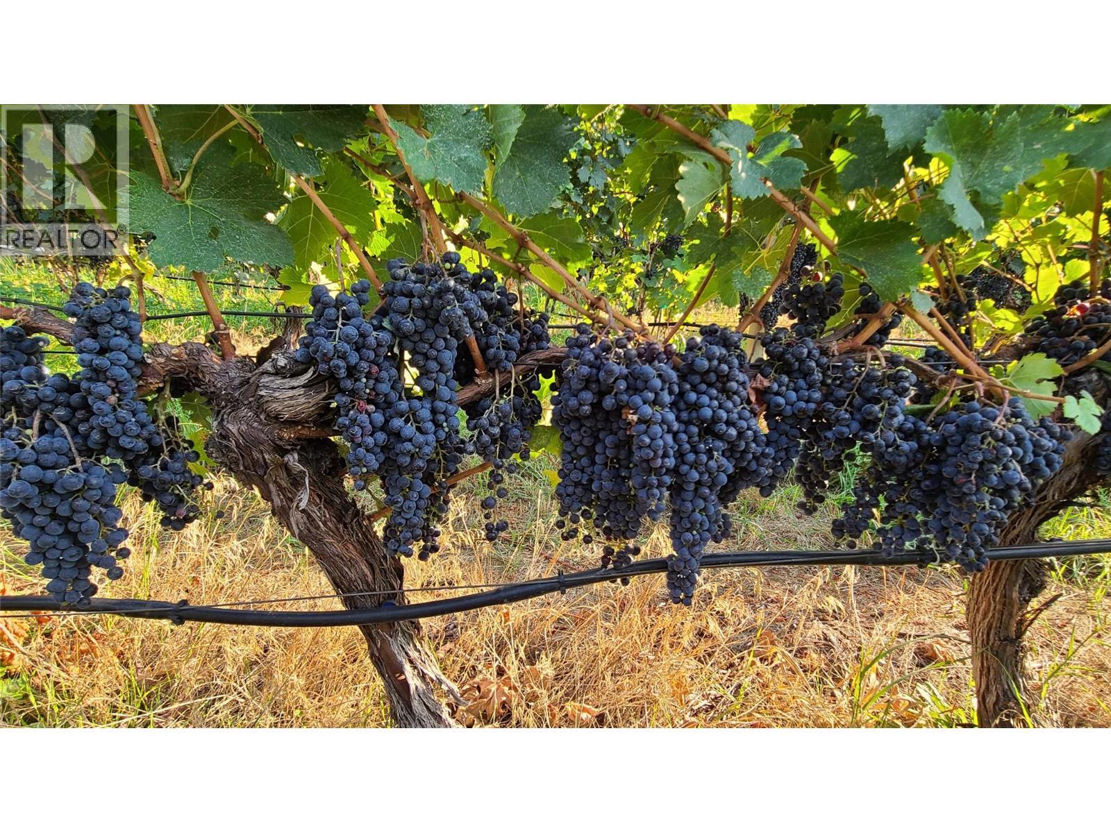 4028 107th Street. Osoyoos, British Columbia