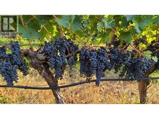 4028 107th Street. Osoyoos, British Columbia