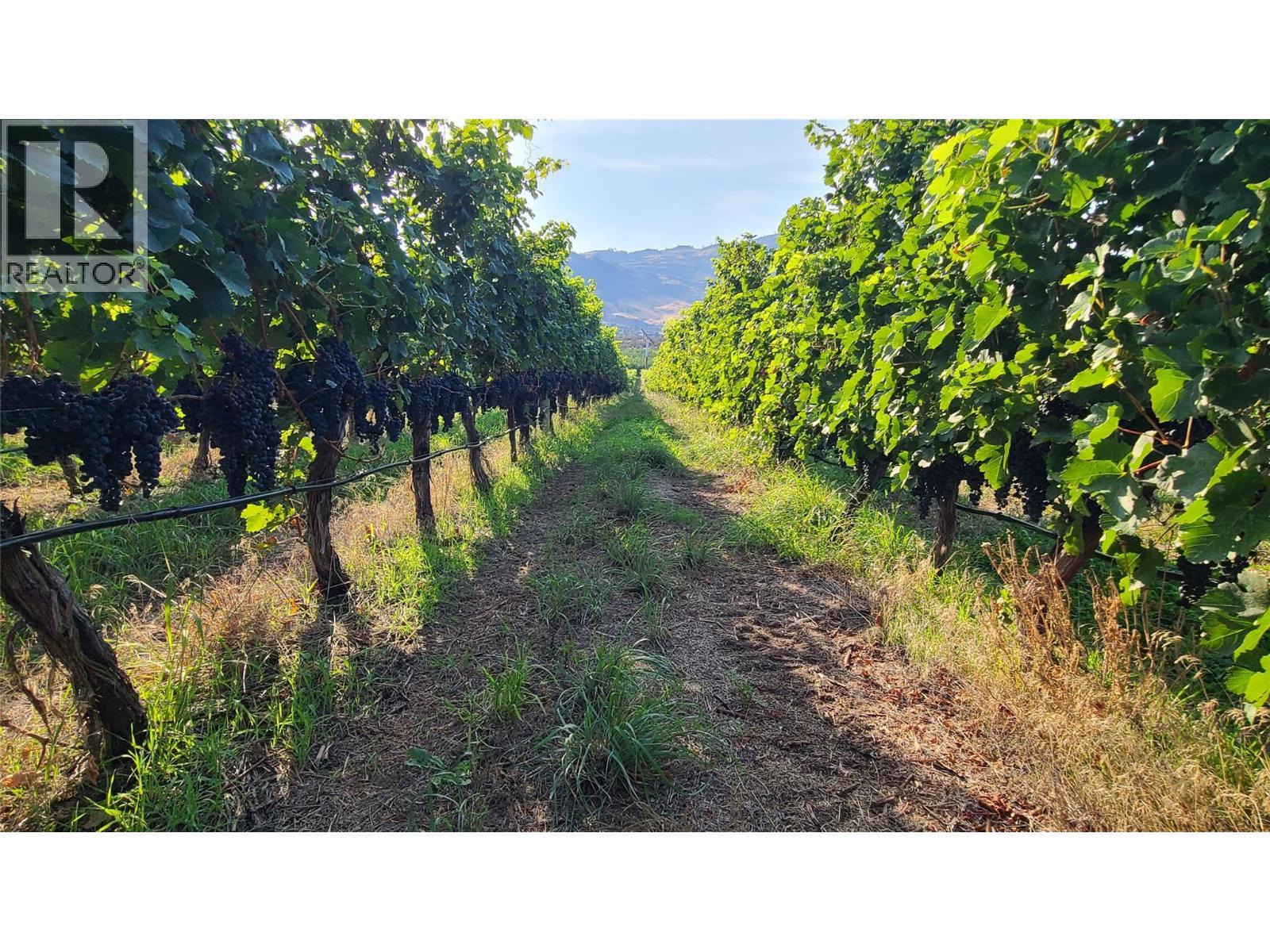 4028 107th Street. Osoyoos, British Columbia