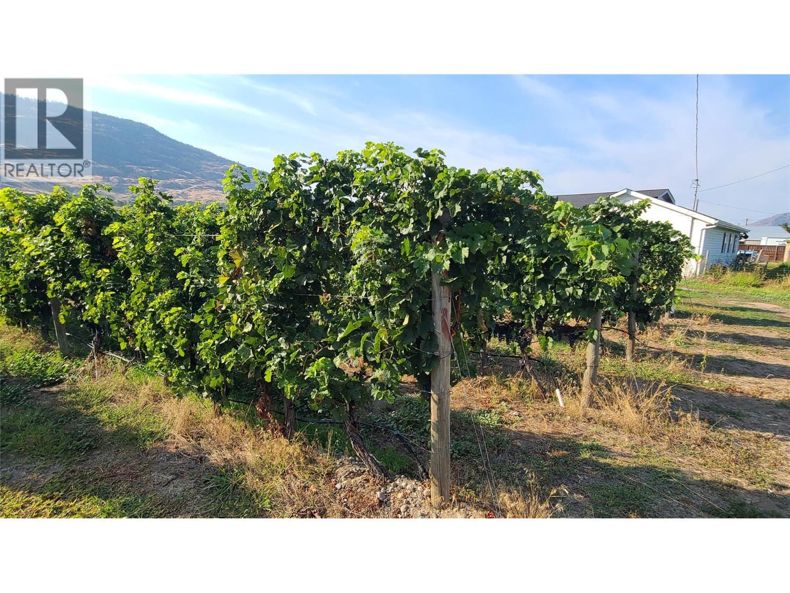 4028 107th Street. Osoyoos, British Columbia