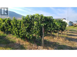 4028 107th Street. Osoyoos, British Columbia