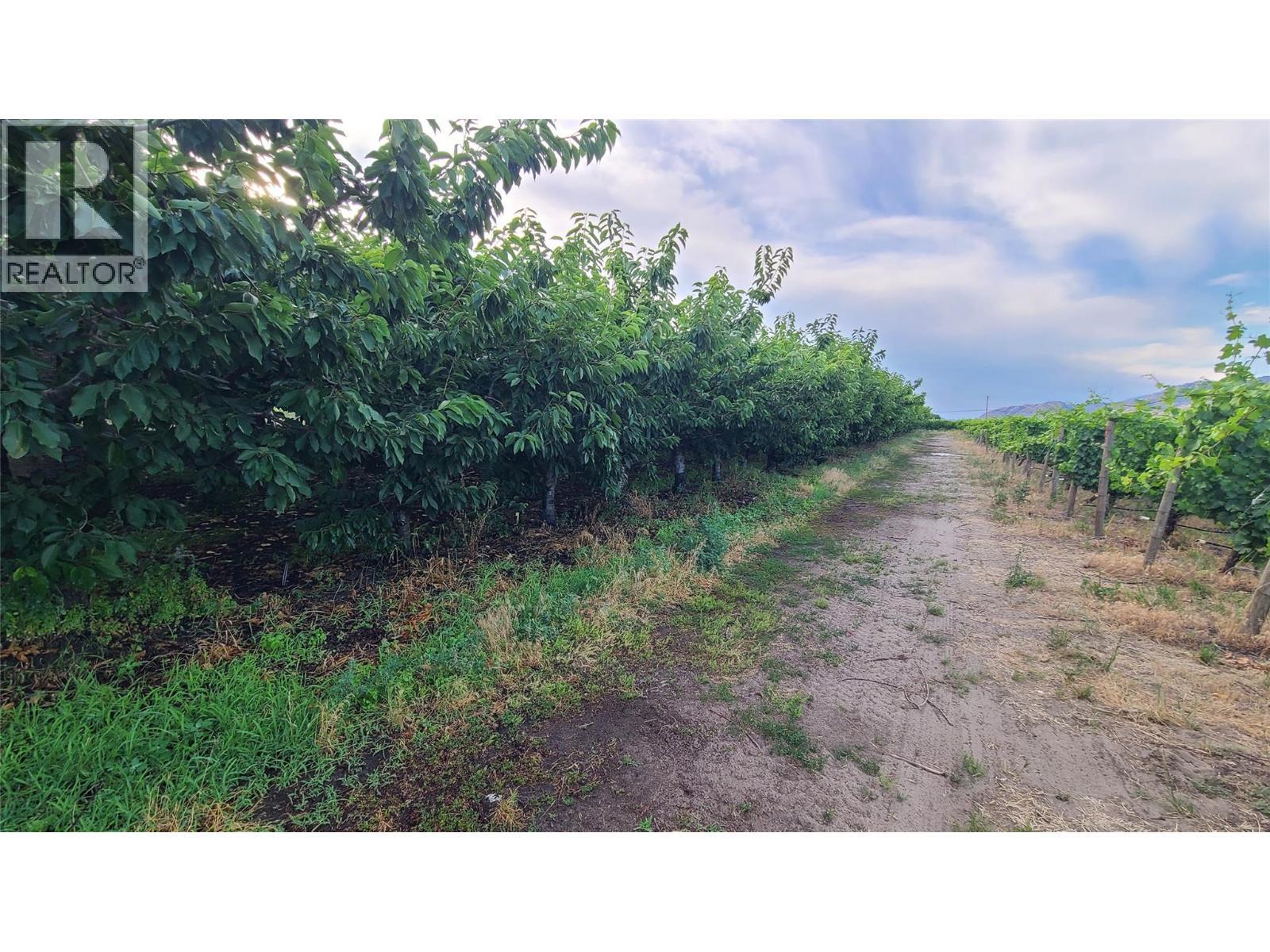 4028 107th Street. Osoyoos, British Columbia