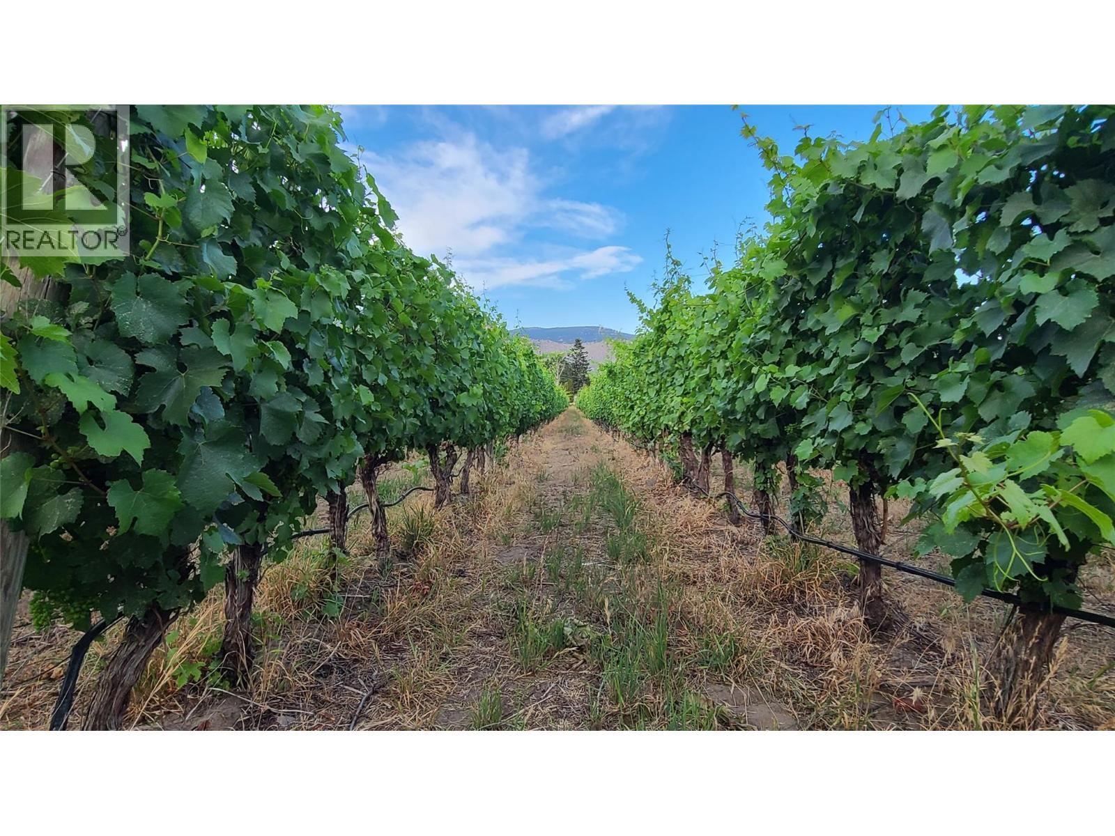 4028 107th Street. Osoyoos, British Columbia