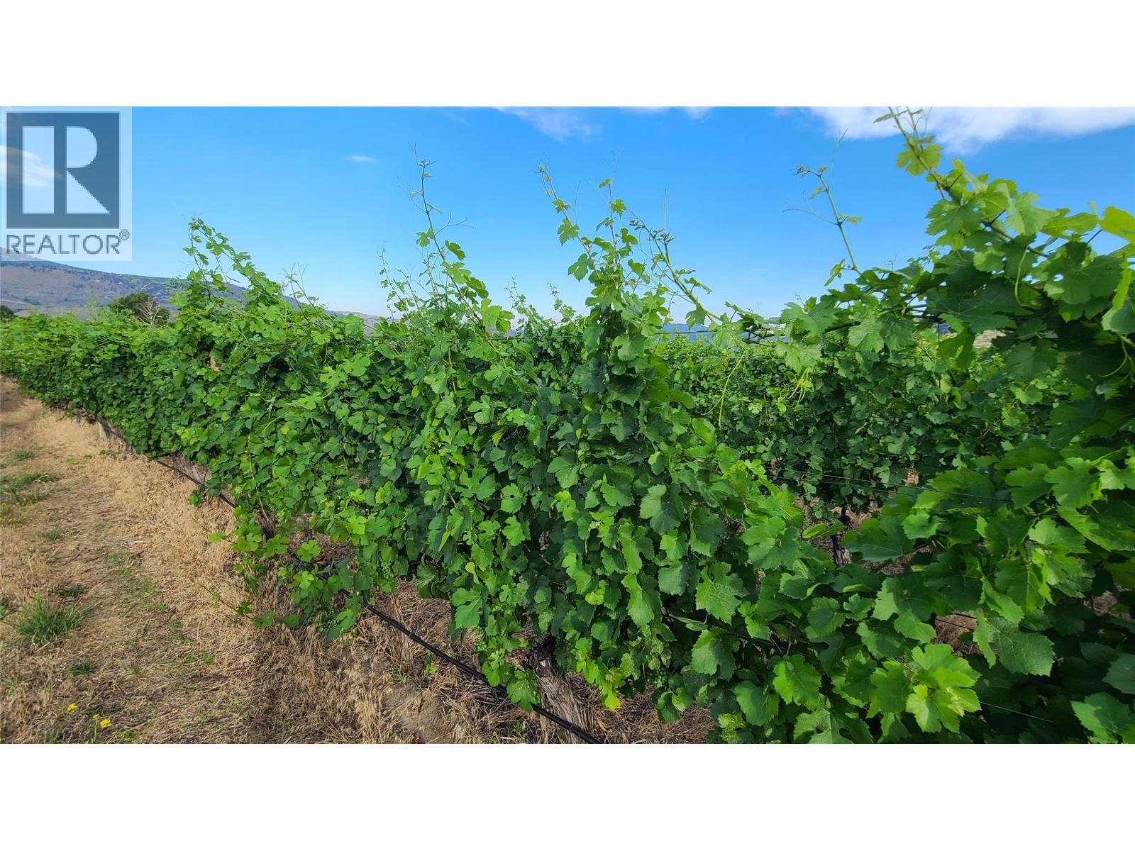 4028 107th Street. Osoyoos, British Columbia