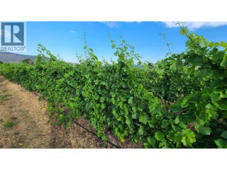 4028 107th Street. Osoyoos, British Columbia