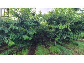 4028 107th Street. Osoyoos, British Columbia