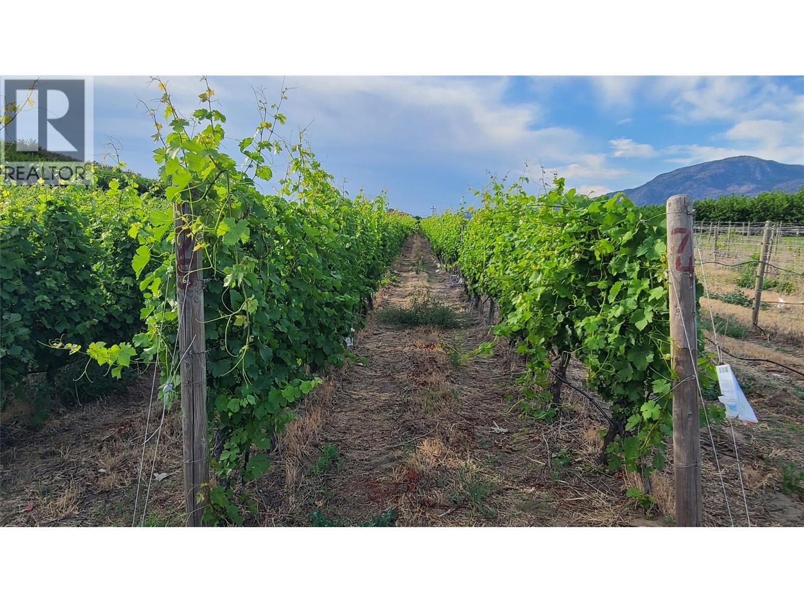 4028 107th Street. Osoyoos, British Columbia