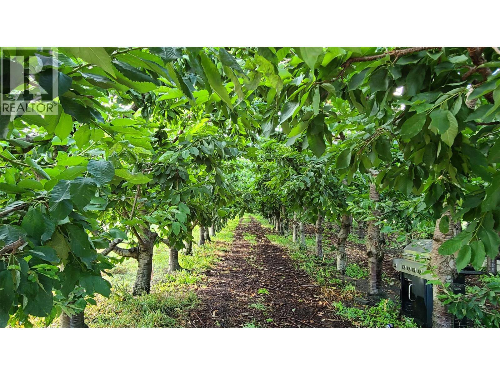 4028 107th Street. Osoyoos, British Columbia