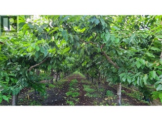 4028 107th Street. Osoyoos, British Columbia