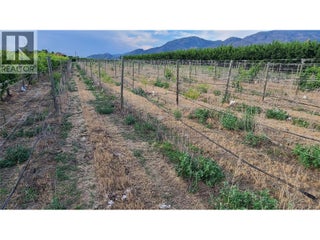 4028 107th Street. Osoyoos, British Columbia