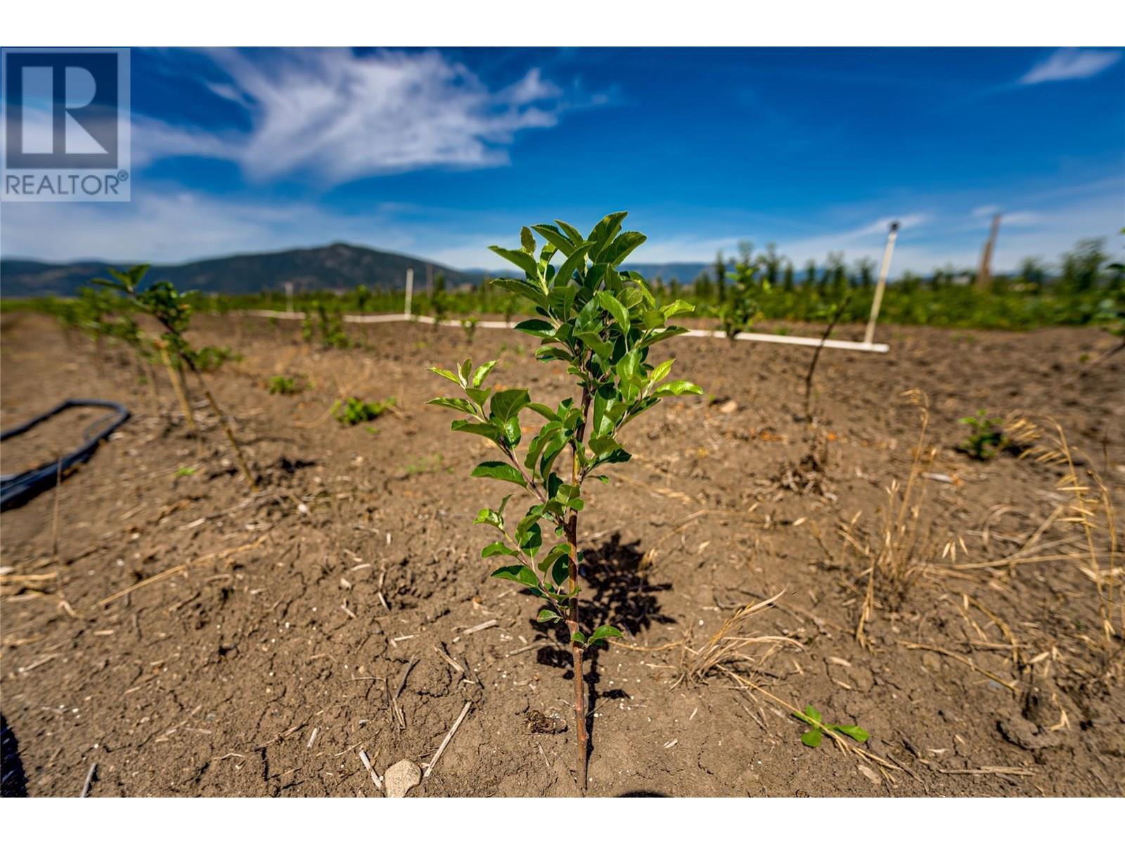 1939 97a Highway. Armstrong, British Columbia