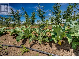 1939 97a Highway. Armstrong, British Columbia