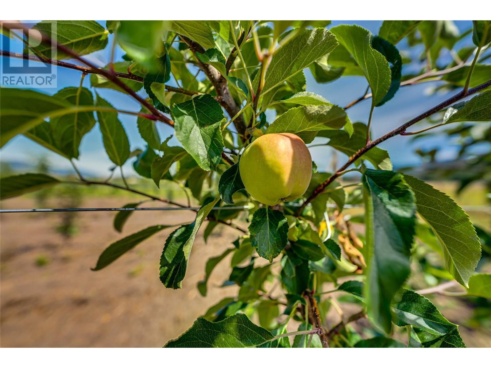 1939 97a Highway. Armstrong, British Columbia