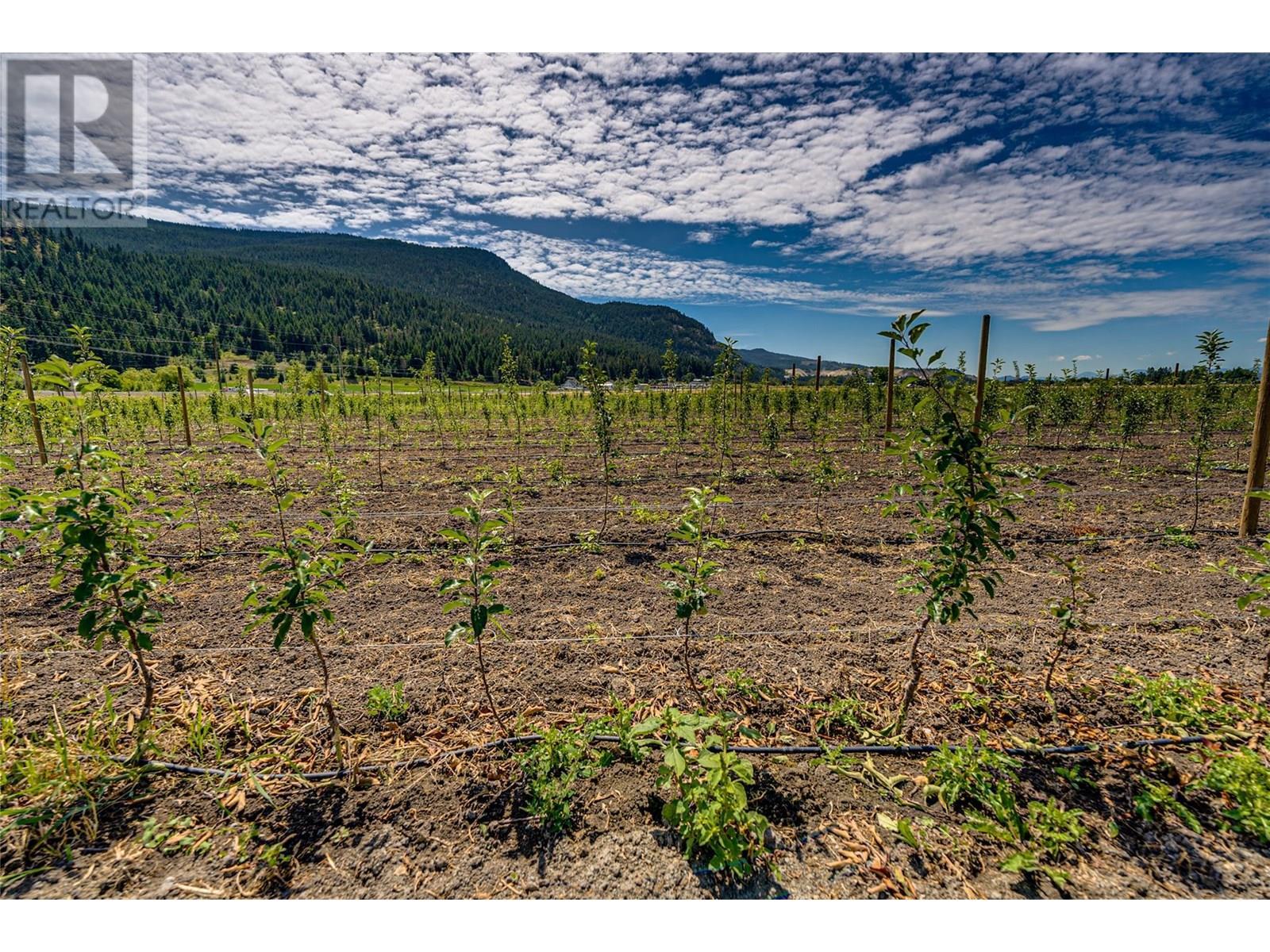 1939 97a Highway. Armstrong, British Columbia