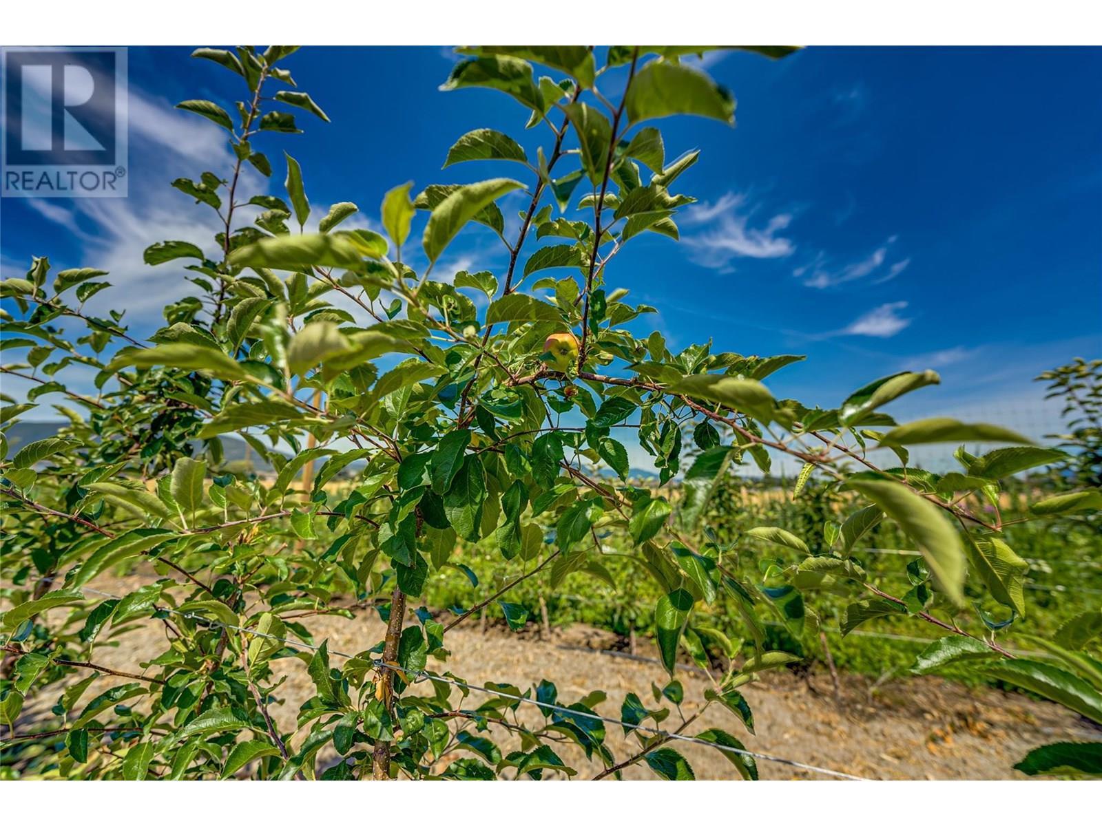 1939 97a Highway. Armstrong, British Columbia